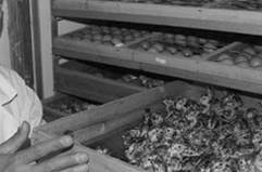 德州市德城區(qū)萬(wàn)順?lè)趸O(shè)備廠(chǎng)